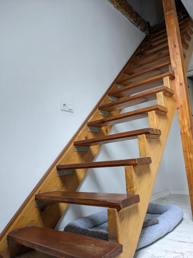 Apartament Lux-Centrum 글리비체 외부 사진